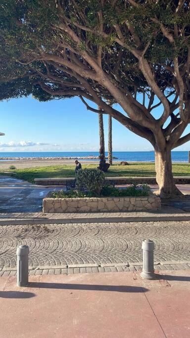 Beachfront House Málaga Dış mekan fotoğraf